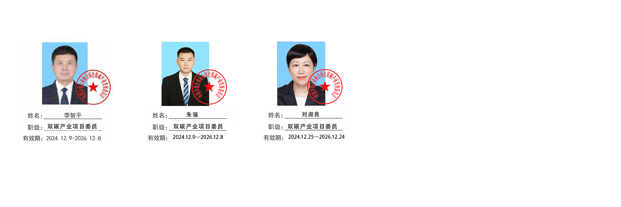 双碳产业项目.png