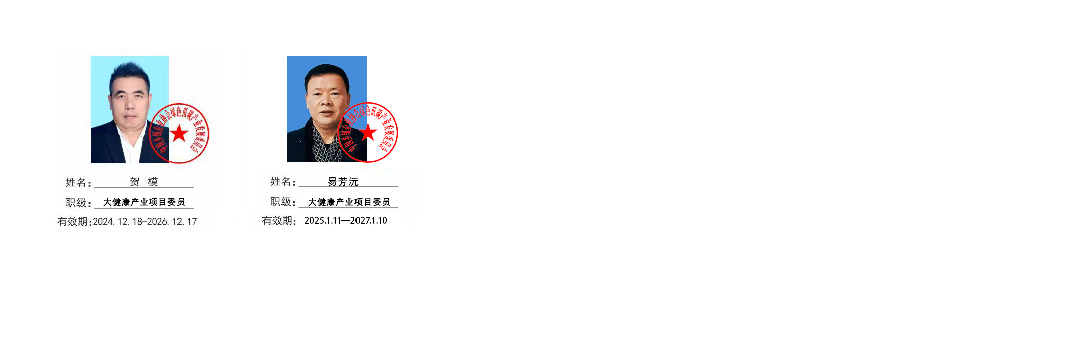 大健康产业项目专员.png